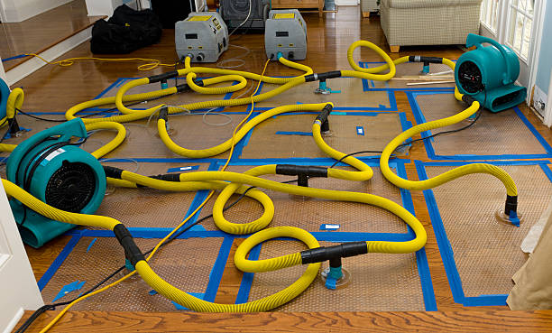 Professional Burst Pipe Water Damage technician working in Isabella, MN